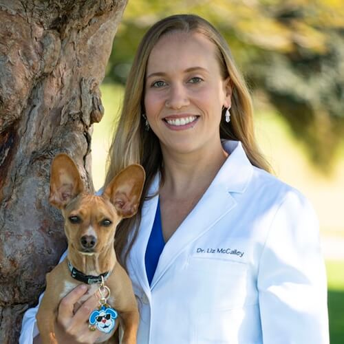 Elizabeth McCalley, DVM, CCRT