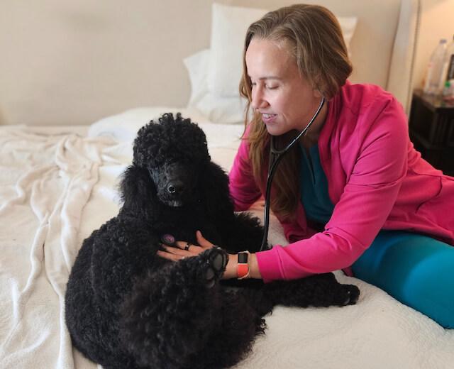 In-Home Pet Wellness Exams And Vaccinations